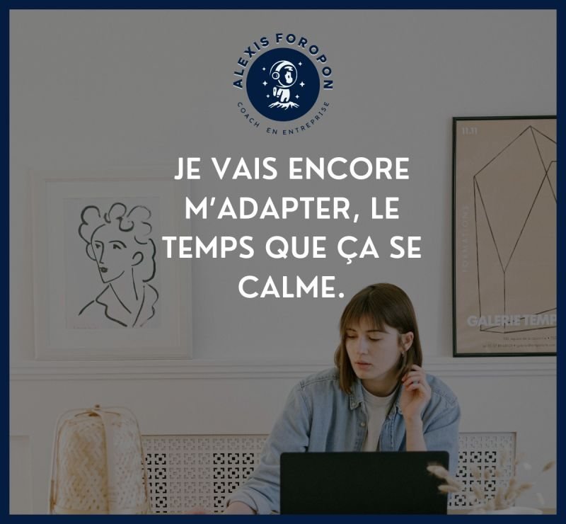 Une jeune femme assise devant un ordinateur portable, dans une pièce claire. Texte de l'image, Je vais encore m'adapter, le temps que ça se calme.